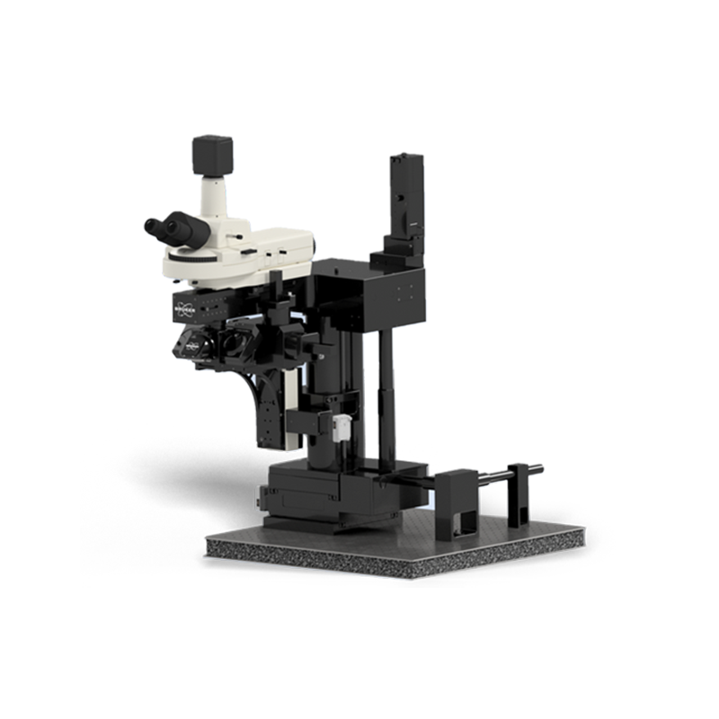 Ultima多光子顯微鏡系統