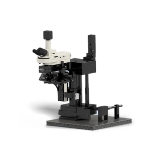 布魯克Bruker Ultima In Vitro 活體多光子顯微鏡