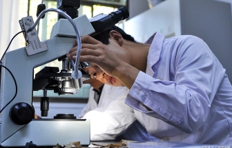 布魯克 LUMOS II FTIR顯微鏡進行紙張質量控制和故障分析