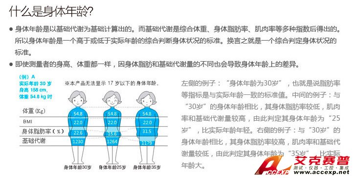 什么是身體年齡 什么是身體年齡