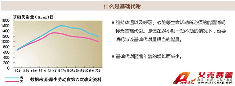 了解基礎代謝