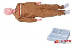 TSI-CPR-400型高級全自動電腦心肺復蘇模擬人