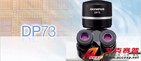 奧林巴斯 OLYMPUS DP73 CCD成像系統 圖片